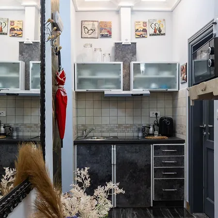 Appartement Seistanca Lux -old Entrance